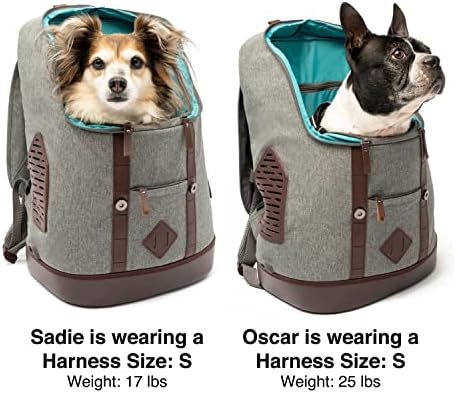 Kurgo ruksak za nošenje pasa za male kućne ljubimce-Psi & ; mačke | mačke | planinarenje ili putovanja | vodootporno dno / K9 Ruck Sack