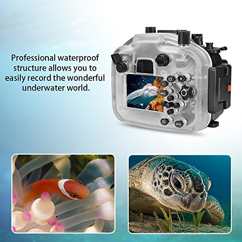 Morske žabe za EOS M5 40m / 130ft podvodne kućište kamere