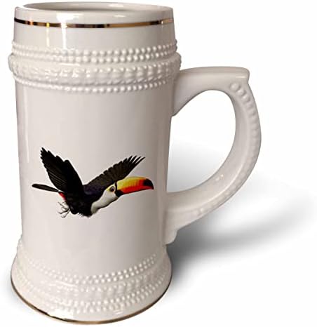 3Droza Boehm grafička ptica - TOCO Toucan Bird - 22oz Stein šolja