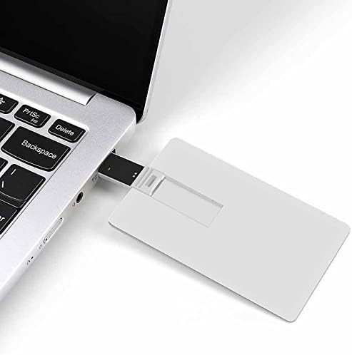 Psihitelic Owl USB Flash Drive Dizajn kreditne kartice USB Flash Drive Personalizirana memorijska tipka 64g