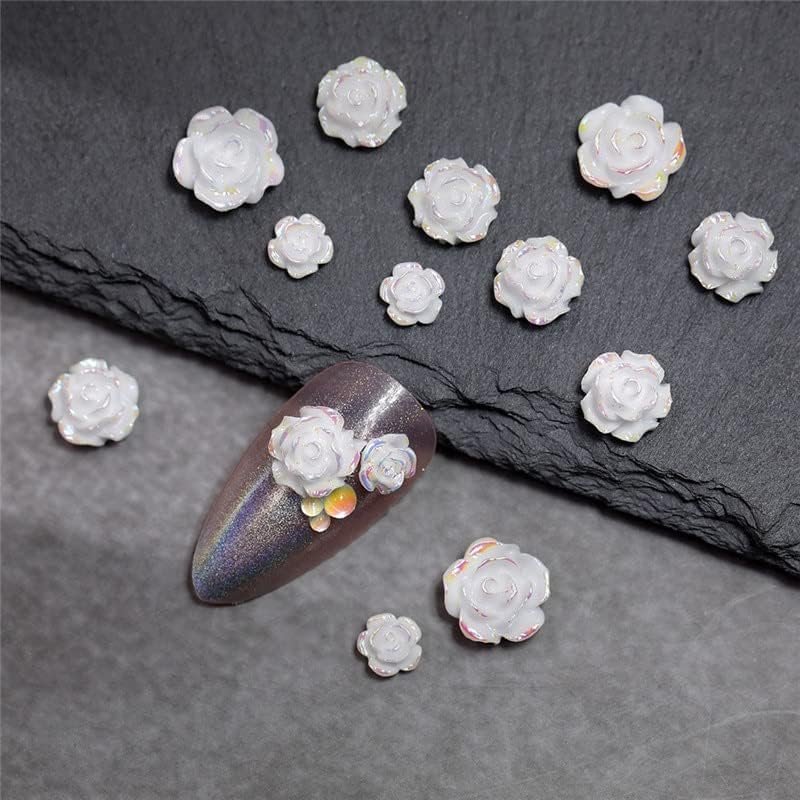 20kom mješovita veličina 3d nail art dekoracija AB Aurora Sasanqua Dry Flower Glitter Rhinestones za nokte Jewels alat za manikuru