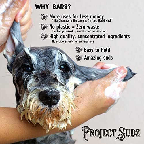 Projekt Sudz šampon i regenerator za pse sa konopljinim uljem / Organski šampon za pse za alergije i svrab / svi prirodni šampon i