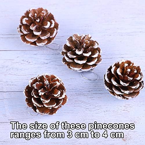 Cooraby 24 komada Mini božićni božini češeri Prirodni pinecones Ornament 3 do 4 cm Pinecones Privjesak za dom Dan zahvalnosti Božićne