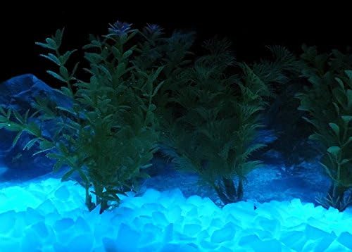 Nebesko plavi akvarijum sa sjajem u mraku mali ruševina 8oz ~ sjajni kamenčići ~ akvarijski šljunak