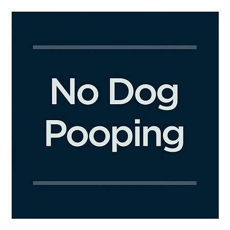 CGsignLab | Nijedan pas Pooping -Basic mornarica ​​prozor Cling | 16 x16