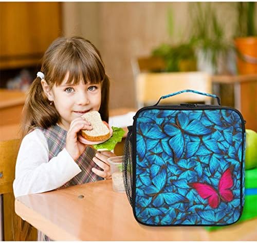 Prelepa kutija za ručak Leptir za višekratnu upotrebu izolovana Školska hladnjača za žene i decu