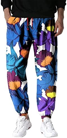 Miashui Hlače Muške muške proljetne ljetne hlače Ležerne svestrane oslikane labave plus veličine hlače modne džepne hlače na plaži