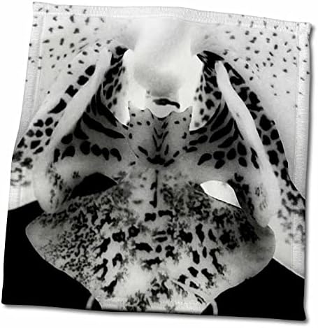 3Droza Fantanty Dancer Makro crno-bijela fotografija orhideja - ručnika