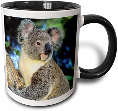 3drose mug_85322_1 Koala medvjed, Australija, eukaliptus drvo SA01 Ksc0000 Kevin Schafer keramička šolja, 11-unca