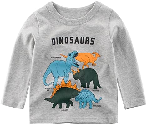 Toddler Kids Baby Boys Girls T majice The Dee Boys Dinosaur Pismo Ispis dugih rukava Crewneck Dukset