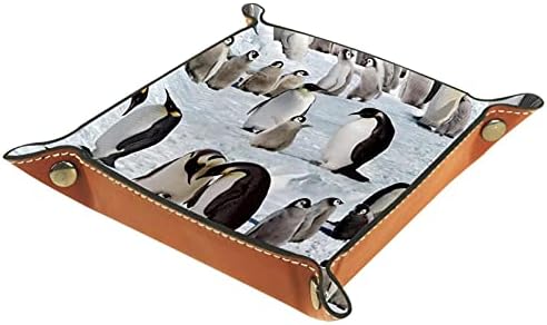 Kožna posuda za valet, kockica preklopna držač kvadratnog drveta, obrub Organizator za promjenu kovanice, pingvin porodice antarktičke