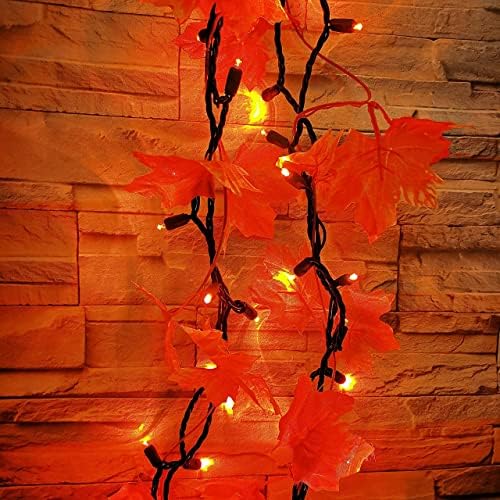 Yirunfa Božićno narandžasto svjetlo širokog ugla 50 LED svjetlo za Noć vještica, 120v ul, priključite 5mm Božić svjetlo Set 17ft zelena žica koja se povezuje za vanjski i unutarnji dekor za svadbene zabave na drvetu
