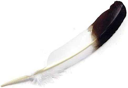 Zamihalla 10-12inch 25-30cm obojena Turska krila pero pero Crna vrhom imitacija orla perje za zanate vjenčanje ukras