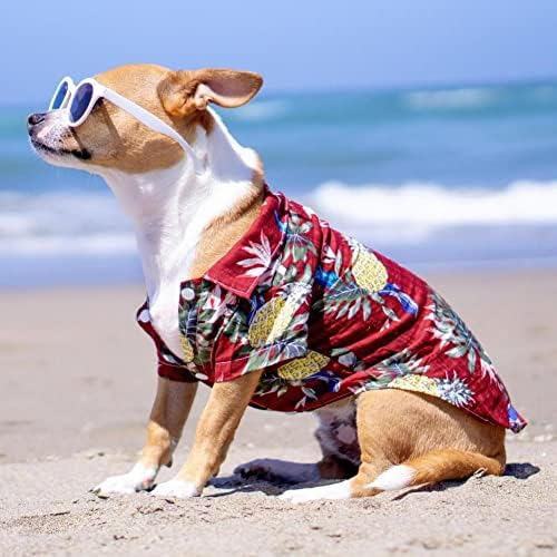 Ljetna kućna kućna odjeća za pse cvjetne plaže Majica Jakne za pse pas Puppy kostim Spring Odjeća Kućni ljubimci Outfits