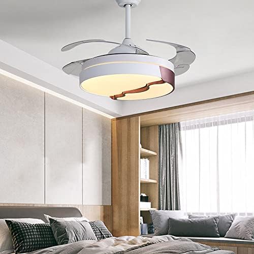 DSJ jednostavnost Akrilni daljinski upravljač ventilator ventilatora LED trihromatični zatamnječ ventilator ventilatora Modern ABS