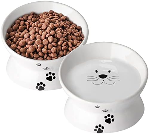 Podignute posude za mačke, 10 oz povišene zdjele za mačke i male pse, nagnuta kućna hrana posuda sa podignutim štandom štiti mačja