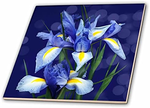 3drose lijepa ljubičasta Iris cvjetna Botanička sa mekom plavom Bokeh pozadinom-Tiles