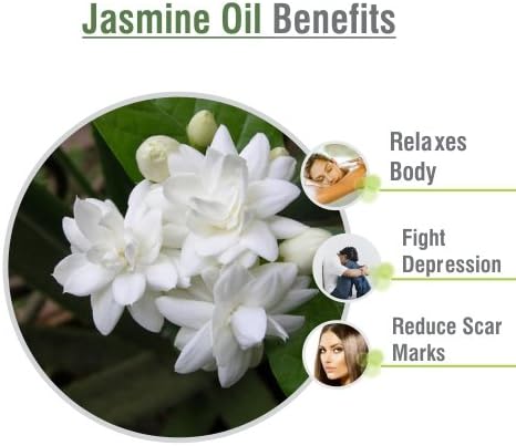 Jasmine čisto i prirodno nerazređeno esencijalno ulje organsko standardno parno destilovano ulje za vlažnu i njegujuću kožu, svjetiljka / DIY ulje - 30ml_with Dropper
