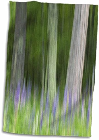 3Droza apstraktna umjetnička zamućenja stabala i lupinskih cvjetova. SAD, Wisconsin. - Ručnici