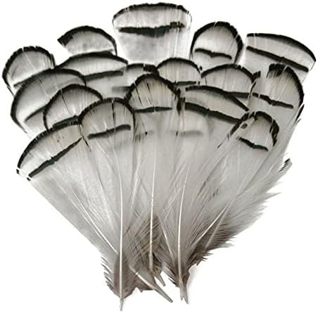Pumcraft prirodno paun pero fazana perje za zanat DIY Jewelrys vjenčanje nojeva perje za nakit izradu Carnaval Party asesoires ukras Plumas