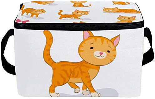Nepropusna kutija za ručak, izolovana Bento kutija za muškarce i žene za odrasle, kanta za ručak za višekratnu upotrebu sa naramenicom narandžasta Tabby Kitty