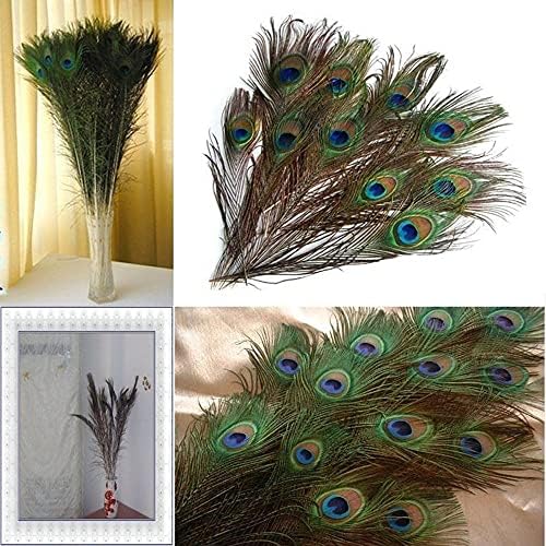 CHDHALTD 10kom / lot Peacock Eye Feathers rep, prirodni perjanica najprodavaniji ukrasi za umjetnička djela za buket naljepnice za
