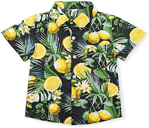 Ochenta Men & amp; Boys lagana havajska košulja sa dugmadima, cvjetni kratki rukav Aloha Tropske haljine