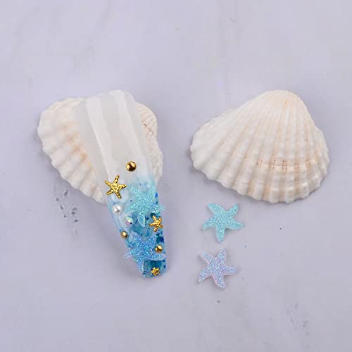 WEILUSI Summer Starfish Nail Art Charme Rhinestones Accessories Hawaii Ocean Beach serija prirodna Starfish smola Nail Art Flat Back