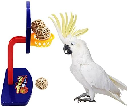 Hypeety ptica Intelektska mini košarkaška stalak za trening za budžetike Parrot Papagaji kokteli zanimanje malih i srednjih ptica