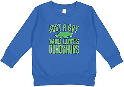 Amdesko samo dječak koji voli duksericu dinosaura