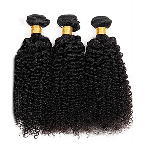 Curly Wave Hair 3 Bundle brazilska ljudska kosa prirodna crna Kinky Curly Hair 3 Bundle Hair Weave for Women Virgin Hair snopovi Weaves