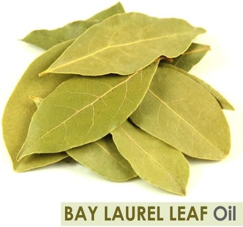 Bay Laurel listovni ulje Esencijalno ulje čisto i prirodno nerazređeno nerafinirano neobuđeno neobreženo organski standardni
