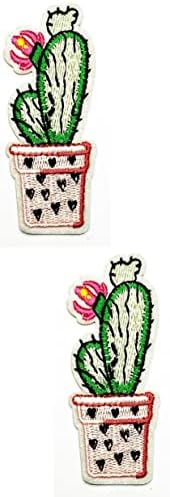 Kleenplus 2kom. Cvijeće Cactus Pot Cartoon deca pegla na zakrpama modni stil vezeni motiv Applique dekoracija amblem Costume Arts