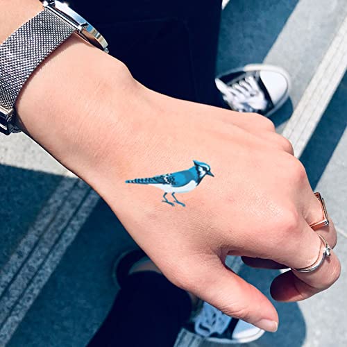 Plava Jay Bird Privremena tetovaža - Ohmytat