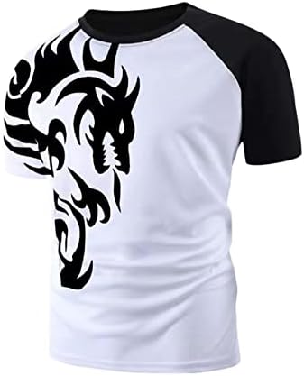 Romwe muški Casual Dragon grafički Print Colorblock kratki rukav okrugli vrat novitet majice majice vrh
