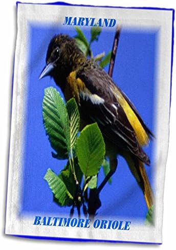 3Droza CLESEENE Državne ptice - Maryland State Bird Baltimore Oriole - Ručnici