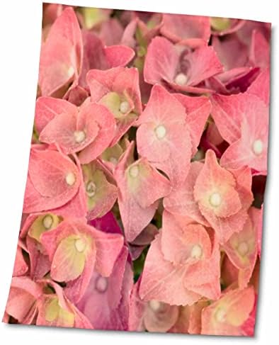 3Droza UTA Naumann Fotografija cvijeće - prekrasan ružičasti cvijet hidrangea - ručnici