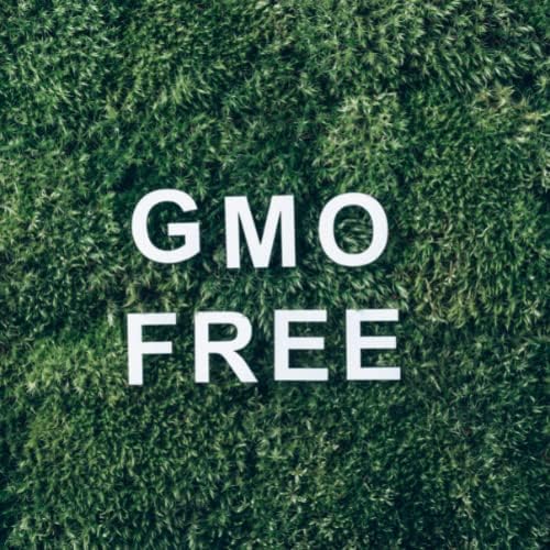Mistični trenuci | Esencijalno ulje amyris 100ml - čisto i prirodno ulje za difuzore, aromaterapiju i masaža mješavina Vegana GMO-a besplatno