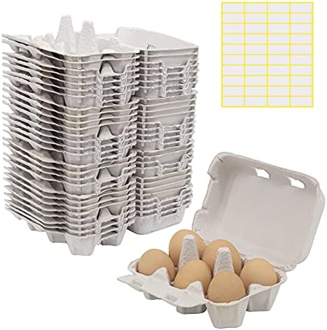 30 komada papirnih kartona za jaja za kokošja jaja pulpa Fiber držač posude za jaja Bulk drži 6 Count jaja putni kontejneri za skladištenje