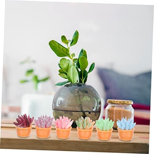 Yardwe 6kom mala sočna biljka u saksiji kaktus biljka minijature minijaturne biljke umjetni sukulenti u saksiji lažni sočne biljke smola dekor za saksije model dekoracije Bonsai Model