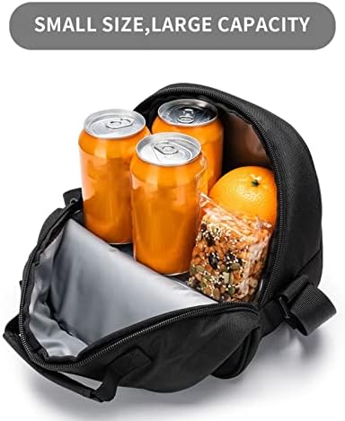Daihanle torba za obrok John Prine Lnsulirana torba za ručak za dječake i djevojčice, pogodna za toplu i hladnu torbicu za piknik