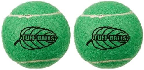 Petsport Mint Tuff Ball Imys | 2 Srednje kućne ljubimce Sigurne filce i izdržljive gumene teniske kuglice | Igrajte Dohvaćanje, Chuck