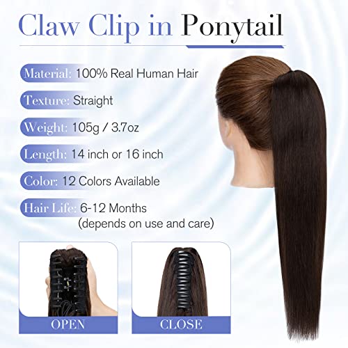 TESSAIR 16-inčna kopča za kandžu u produžetku repa ljudska kosa, ekstenzije za kosu Pony Tail prava ljudska kosa za žene, 105g