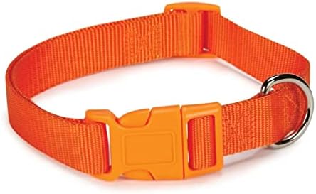 Ogrlica za pse, skupno pakovanje 50 narančastog najlonskih skloništa za spašavanje VET 4 Podesive veličine