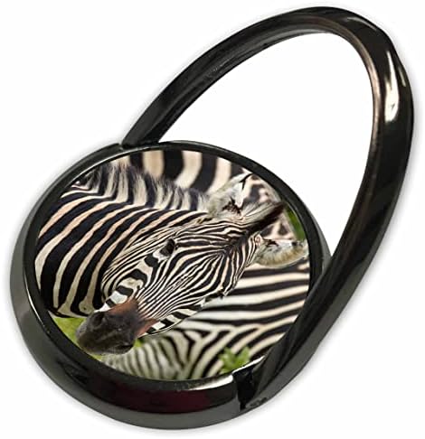 3Droza Danita Delimont - Zebras - Burchells Zebra, Chobe NP, Bocvana - Prstenje telefona