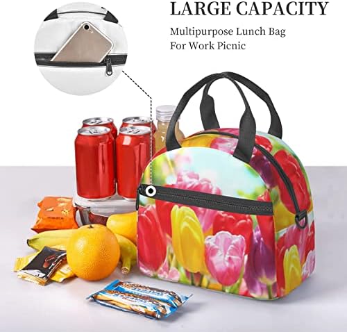 Šarene torbice za ručak za žene muškarci izolirani ručak torba za ručak za ručak za ručak za ručak s bočnim džepovima i naramenicama