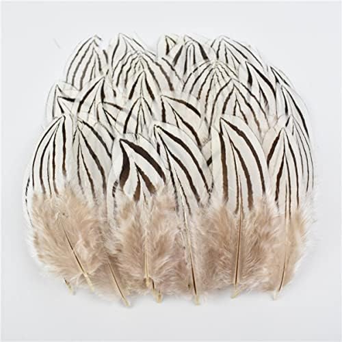 Prirodno pero pauna fazana mala guska pileće perje Plumes DIY rukotvorina za vjenčanje za zabave nakit dekorativna-Veličina 10-15cm,20