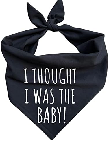 Najava o trudnoći pas Bandana, mislila sam da sam beba! Slatka zabavna crna