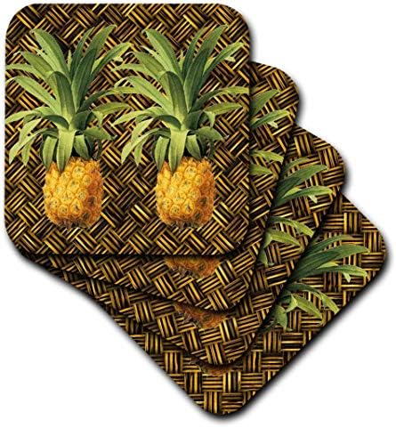 3drose cst_220881_1 par sočnih tropskih ananas botaničkih ilustracija mekim podmetačima