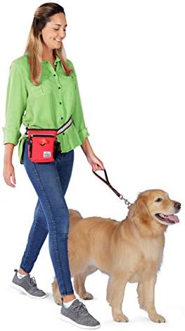 Mobilna oprema za pse, mala torba za hodanje pasa, dnevna ili noćna Reflektirajuća, 6 x 7 inča